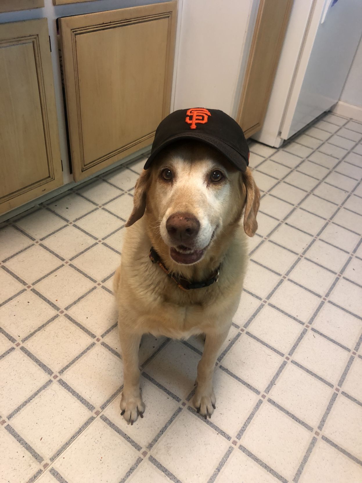 Molly Mae